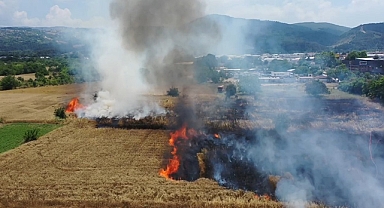 Buğday tarlalarımız yanıyor!