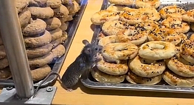 İstanbul'daki bir zincir markette akılalmaz görüntü!