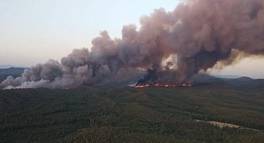 Marmaris'te yangın