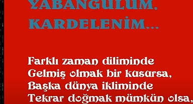 YABANGÜLÜM, KARDELENİM...